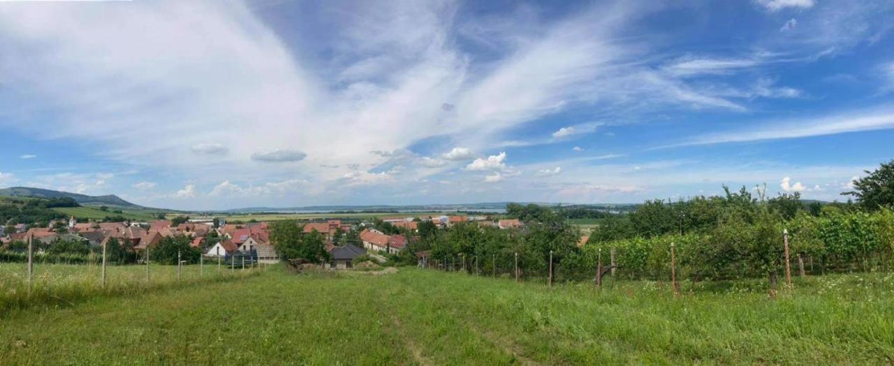 Prazdninovy Dum Na Palave S Vinnym Sklepem Milovice  Extérieur photo