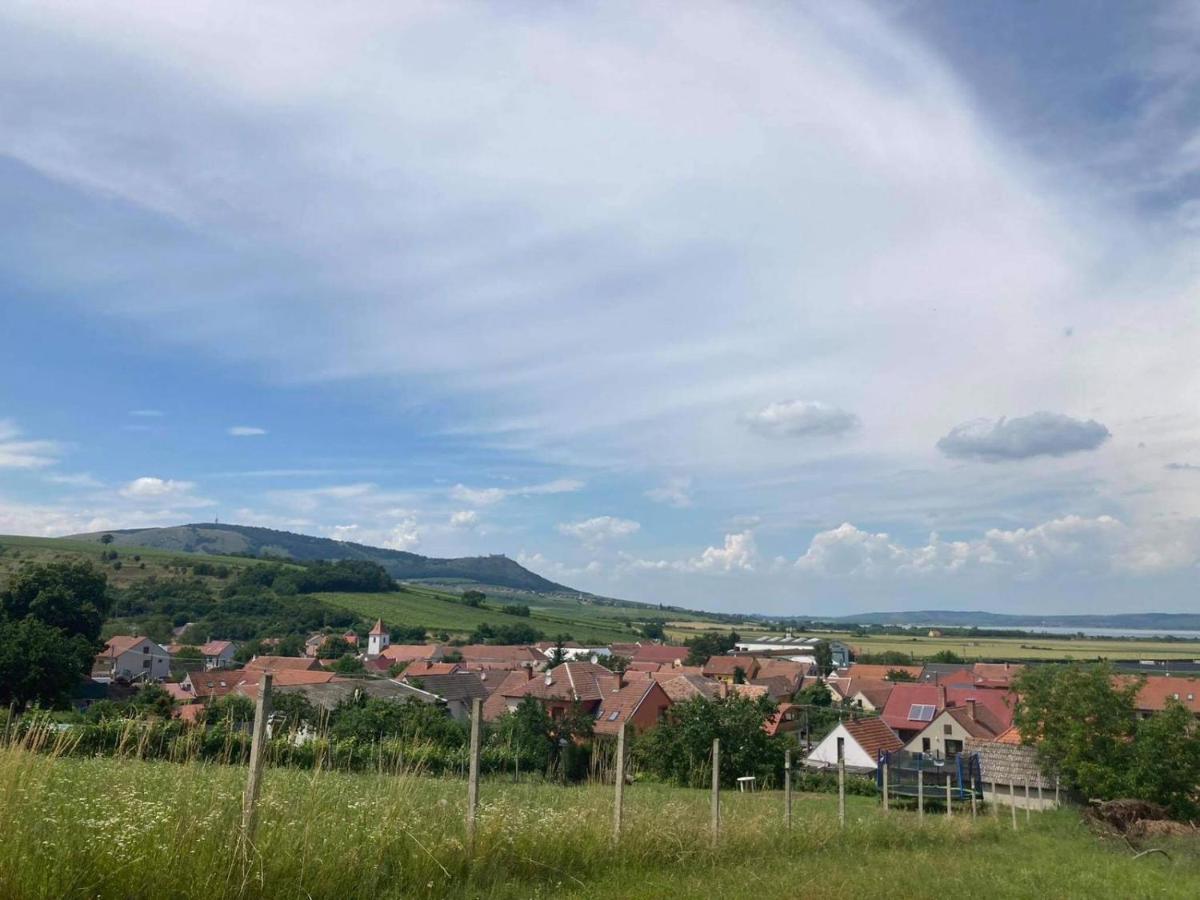 Prazdninovy Dum Na Palave S Vinnym Sklepem Milovice  Extérieur photo